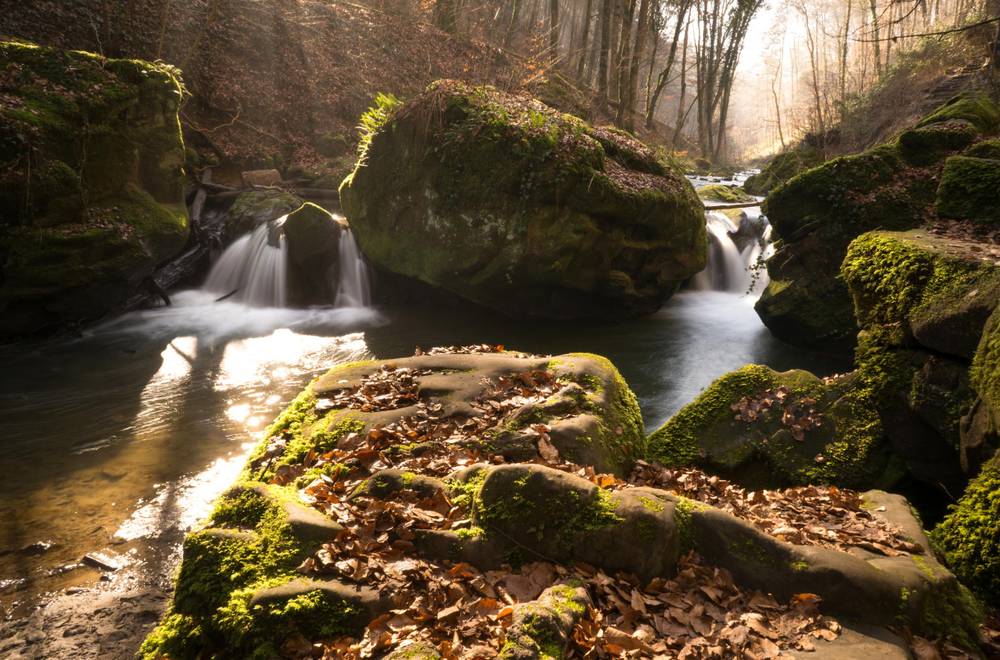 Ruisseau coulant sur des rochers moussus