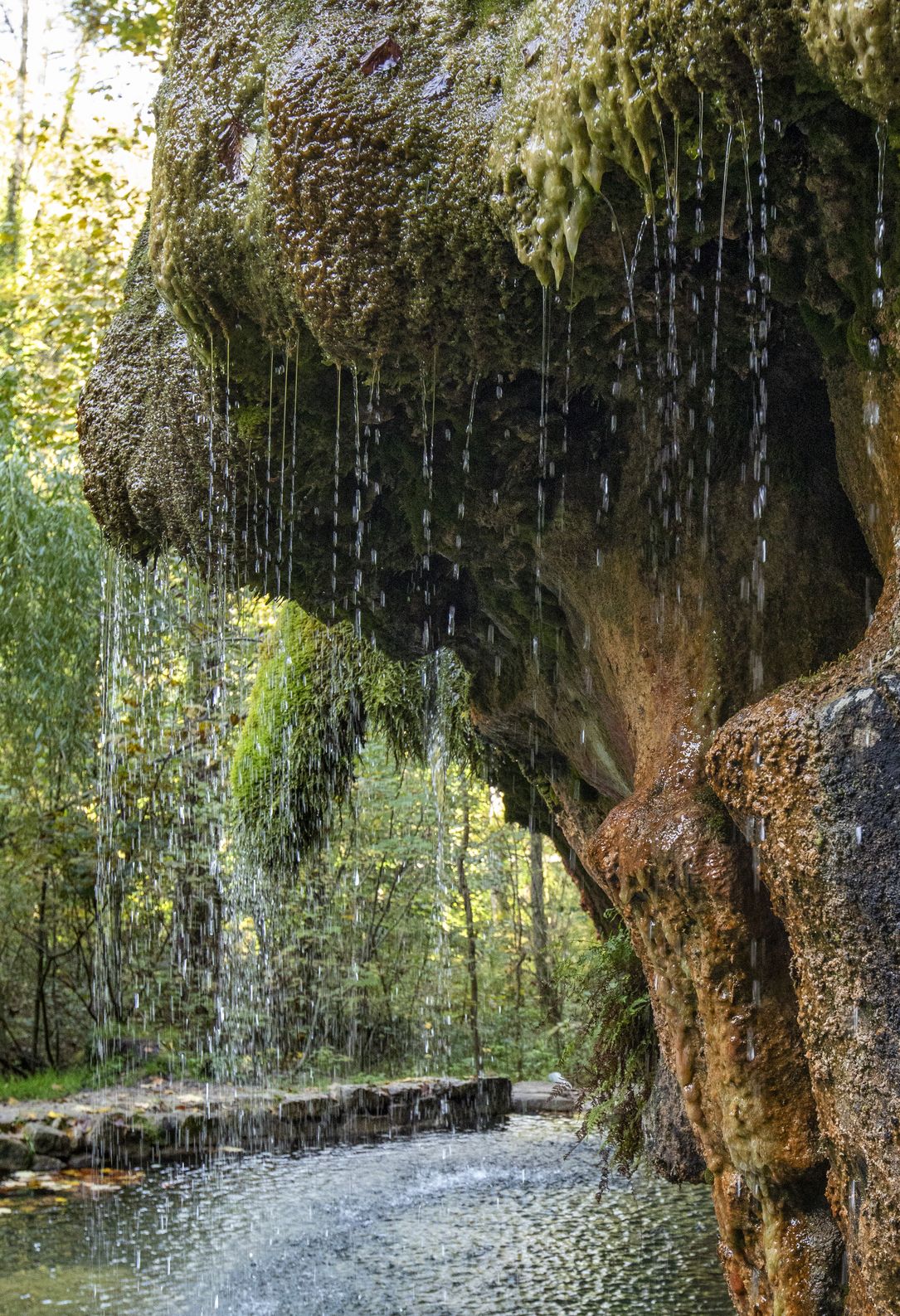 Kallektuffquell: Clear, mineral-rich water drips over a rock ledge