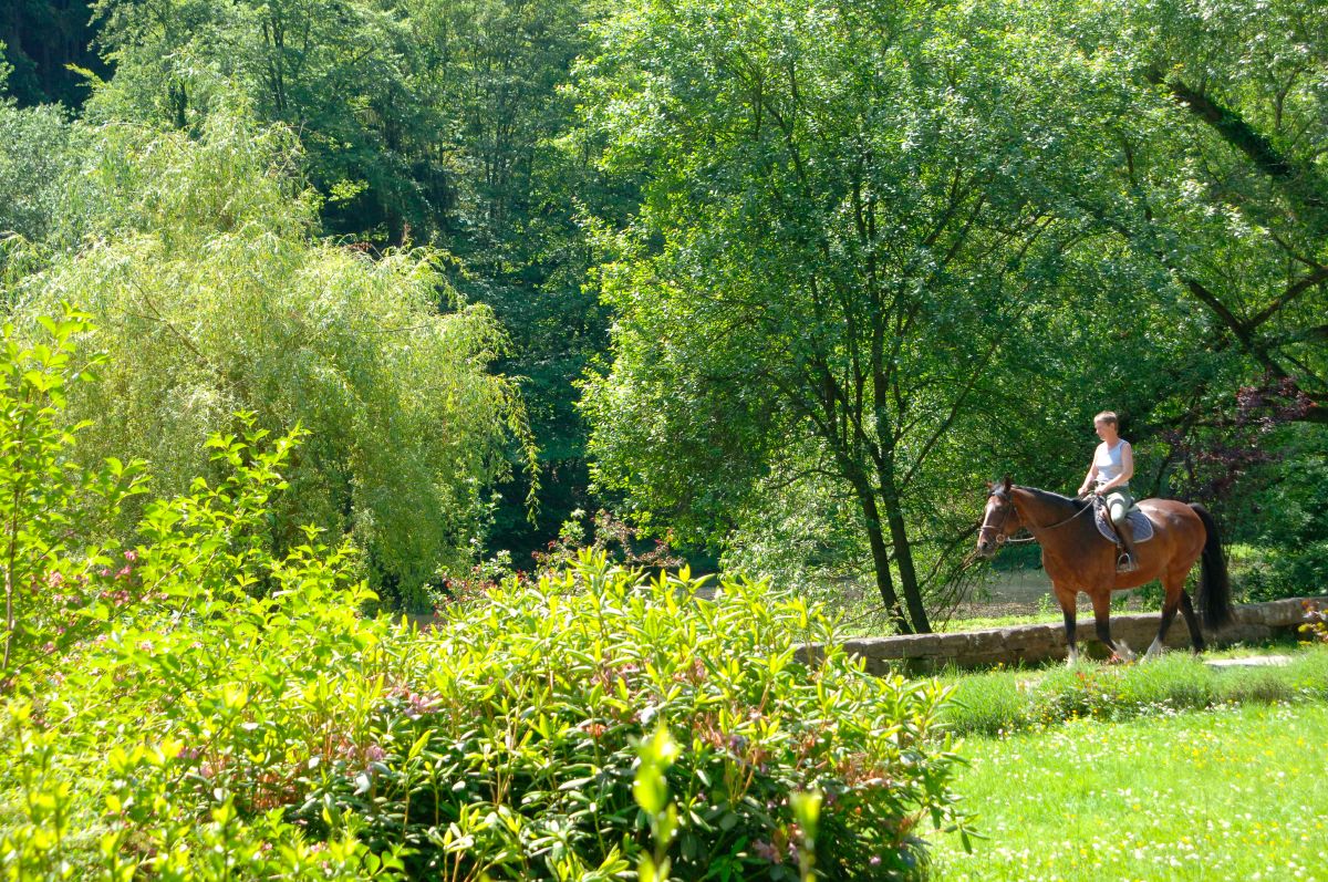 Horseback riding in the Mullerthal Region