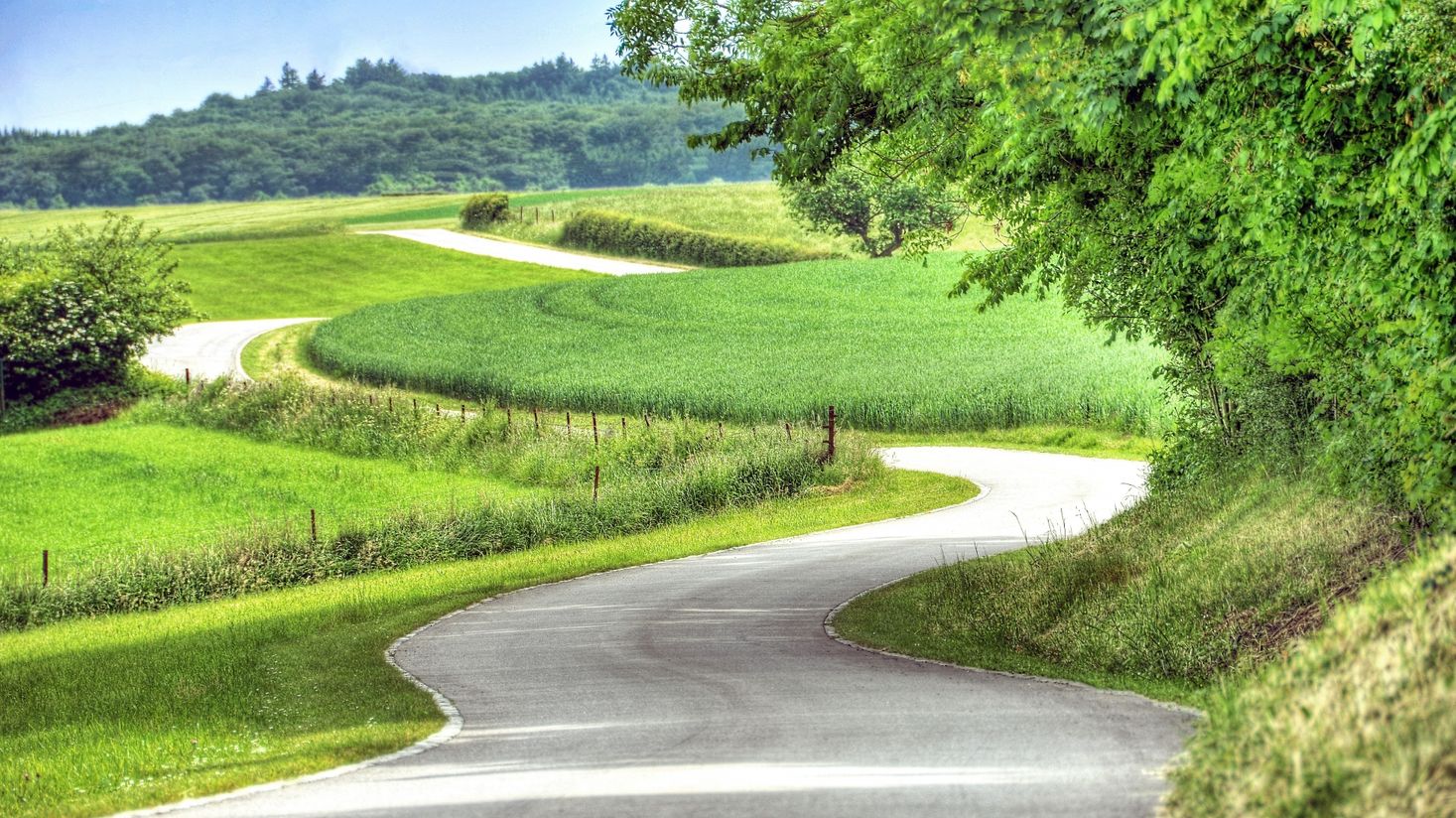 Scenic, quiet road in the Mullerthal Region