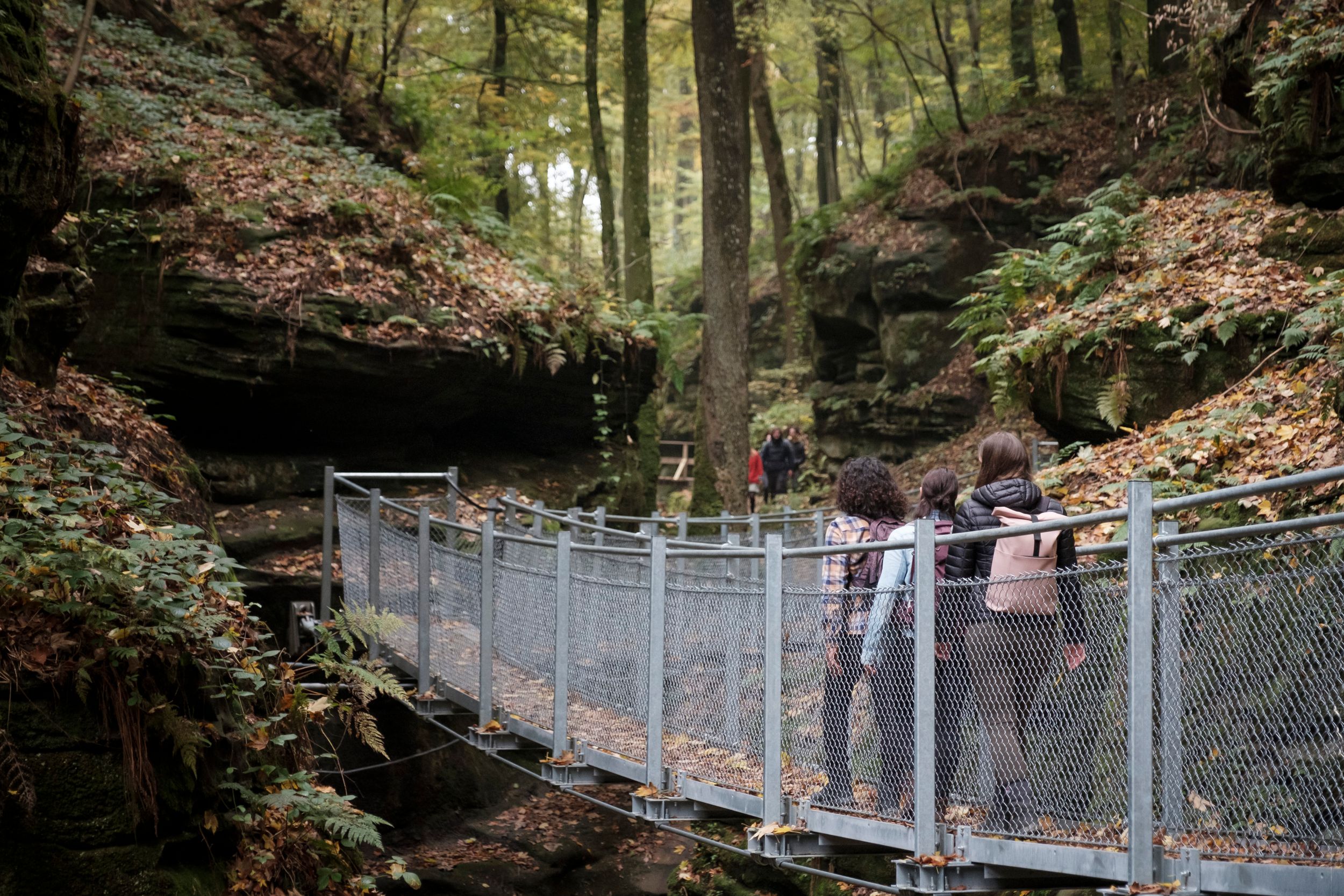 Voetgangersbrug Ruetsbësch: Hangbrug met uitzicht op de "Schwarze Ernz"