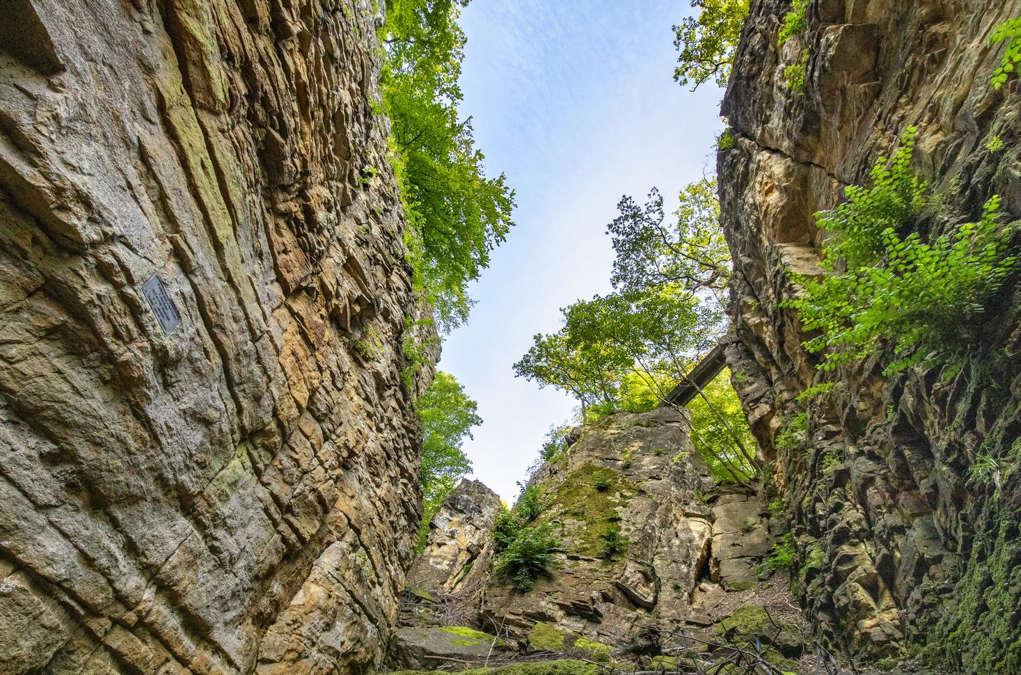 Looking up at the sky with the rocks of the Wollefsschlucht on the sides