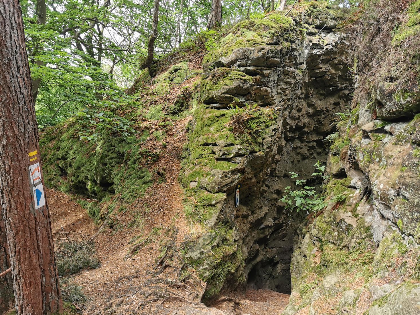 Natur und Felsformation auf dem Extratour A Wanderweg in Noumerleeën