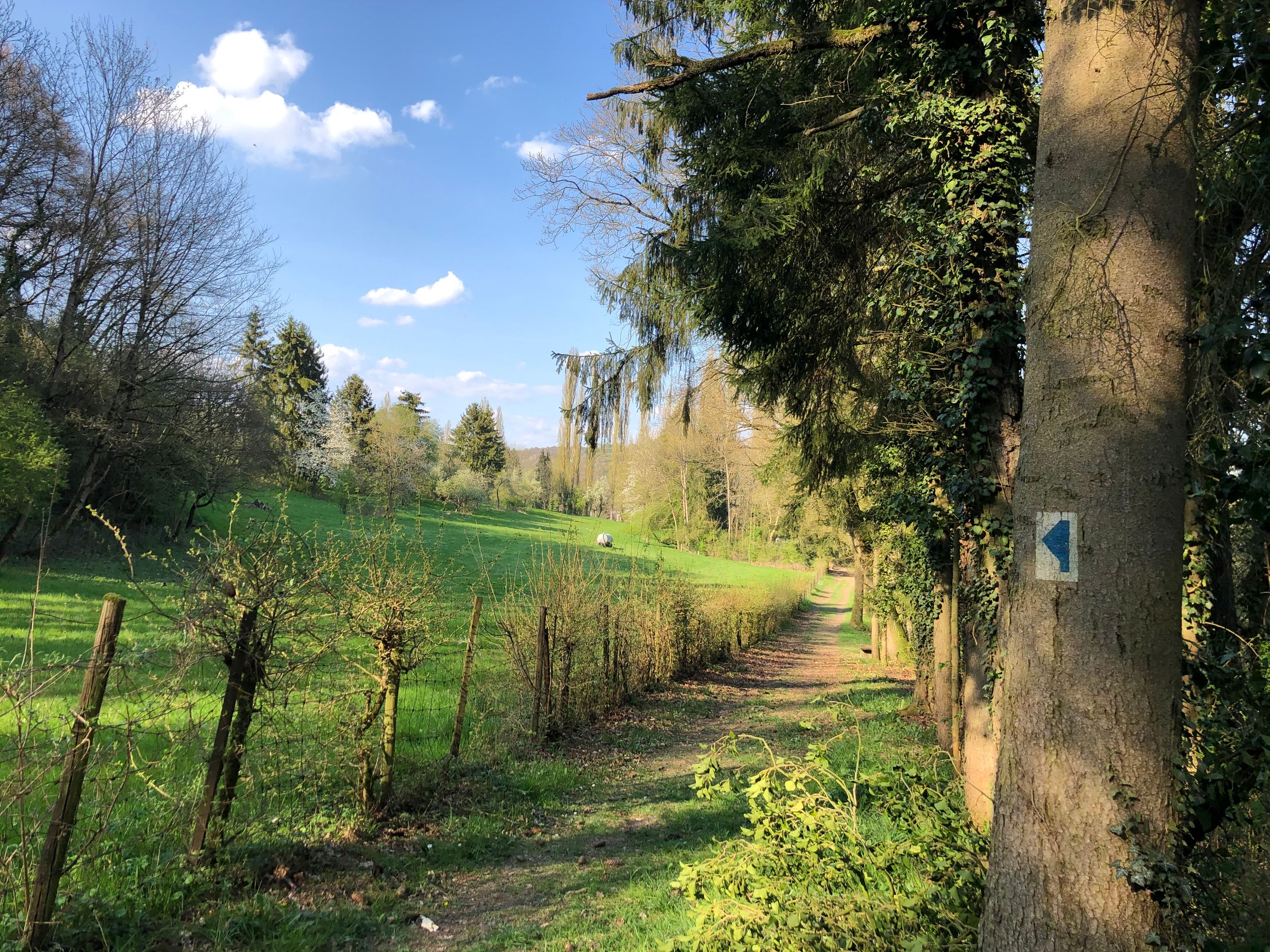 Auto-Pédestre-Wanderweg in Rosport