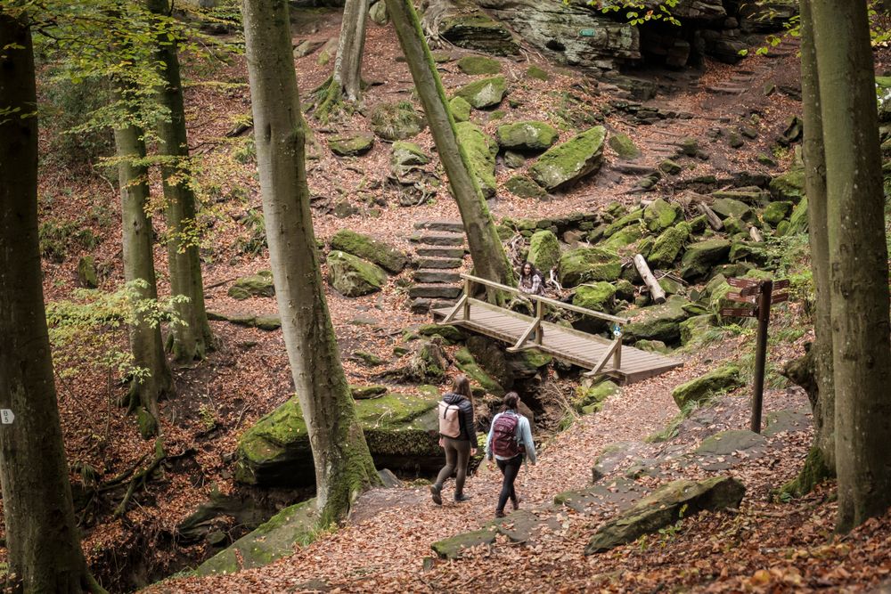 Trois randonneurs sur un sentier à travers un paysage rocheux avec des arbres