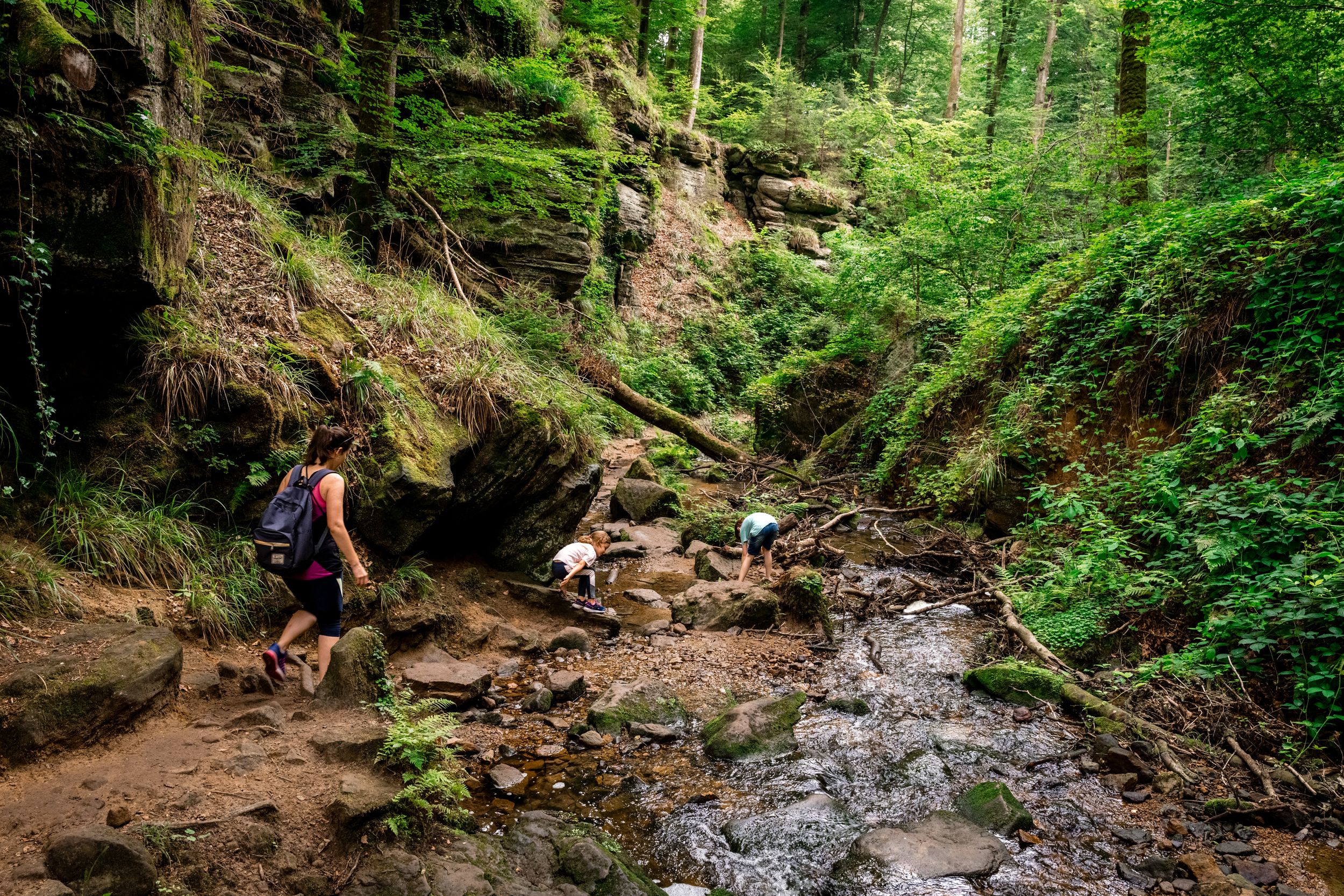 A family hiking along a geo-pad trail