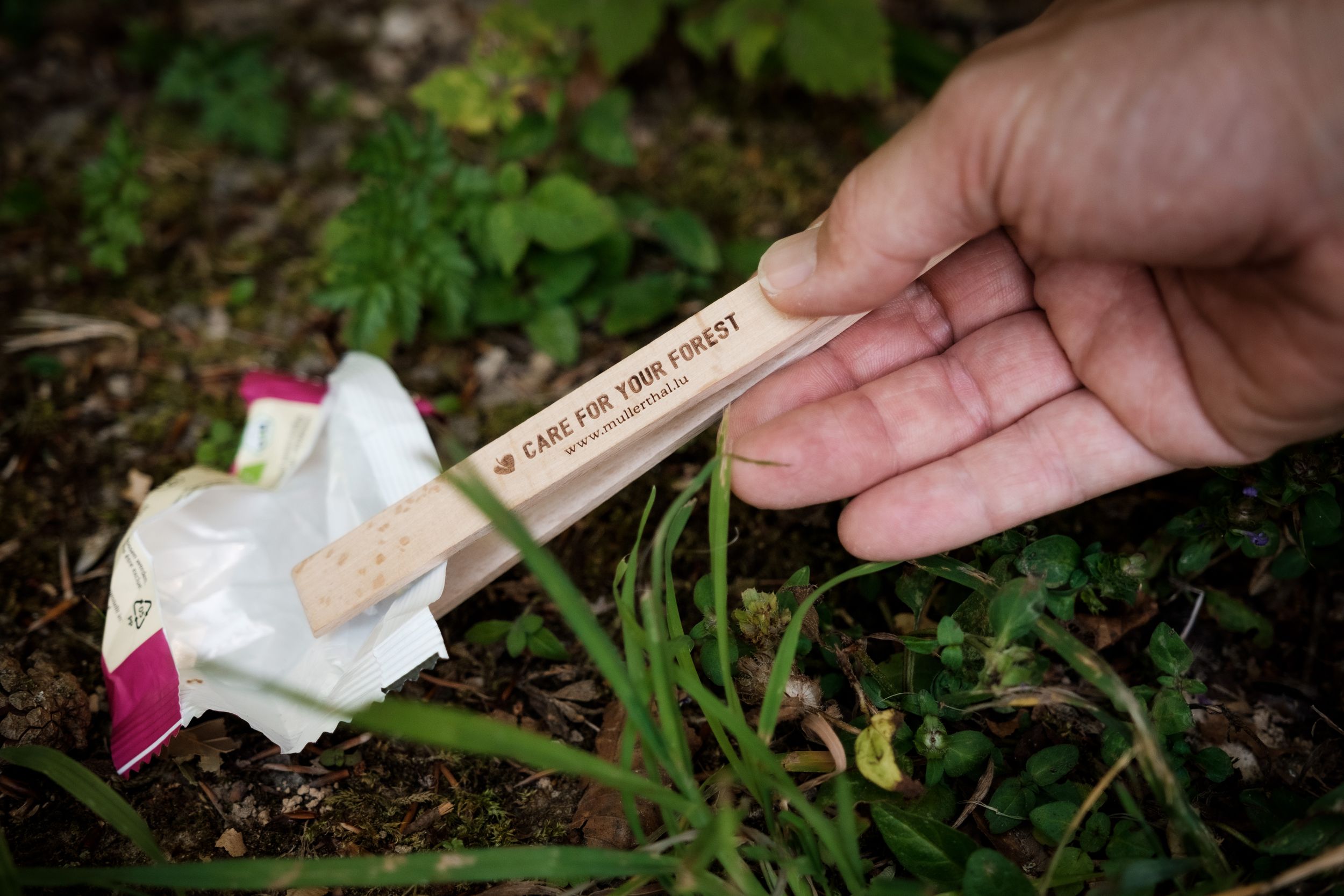 Someone picking up trash in the Mullerthal Region