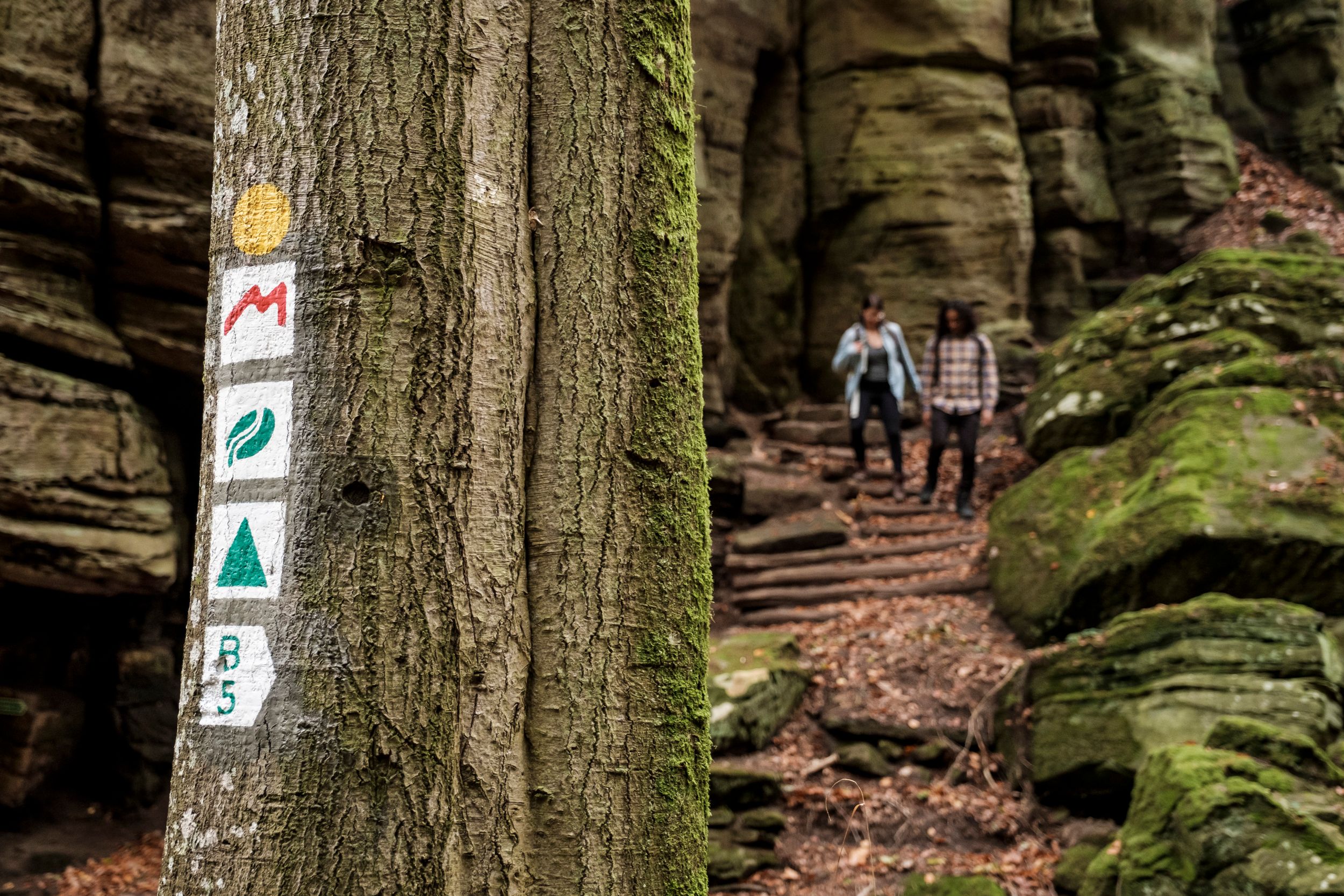 Randonneurs sur le sentier Mullerthal Route 2