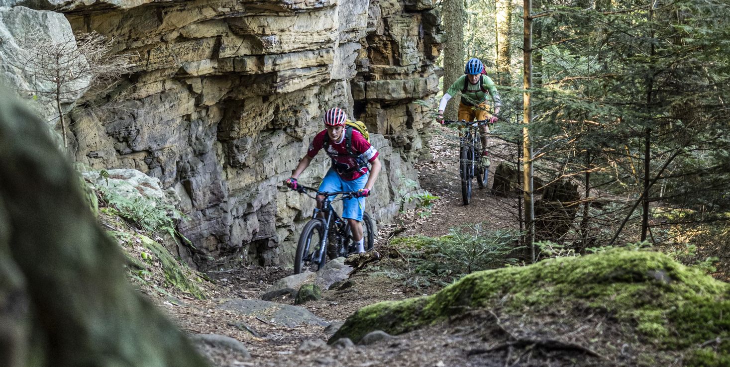 Two mountain bikers ride on the mountain bike trail 