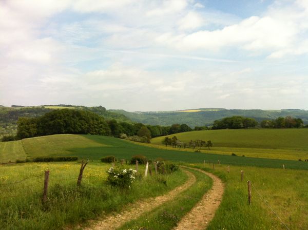 Hiking on the Mullerthal Trail Route 1