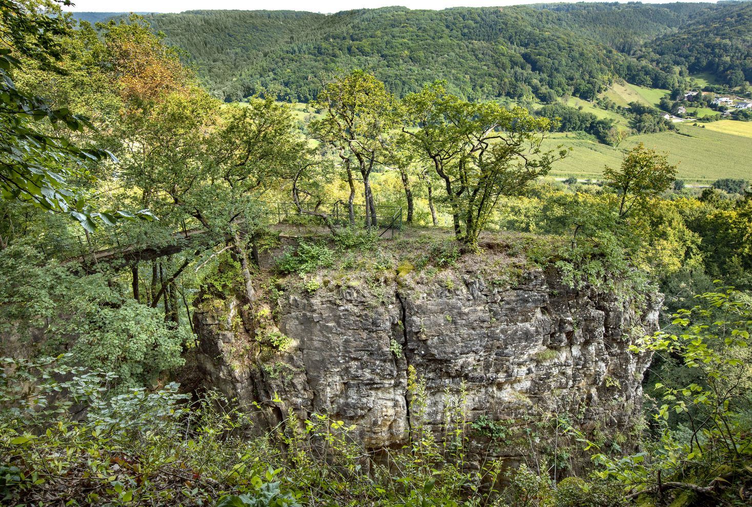 Rock formation Wollefsschlucht in the Mullerthal Region