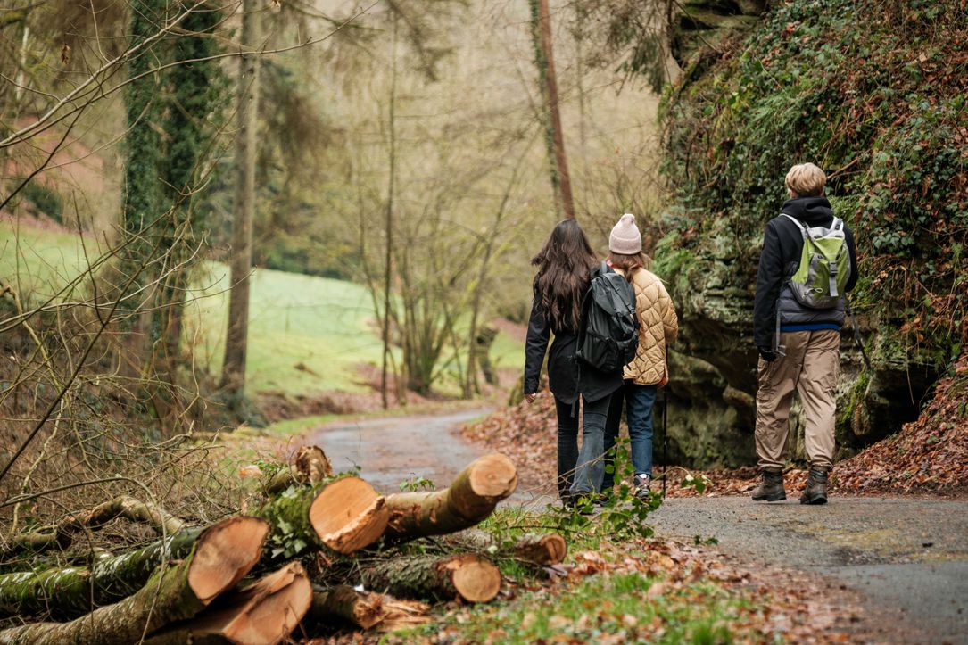 Hikers on the Mullerthal Trail Route 2