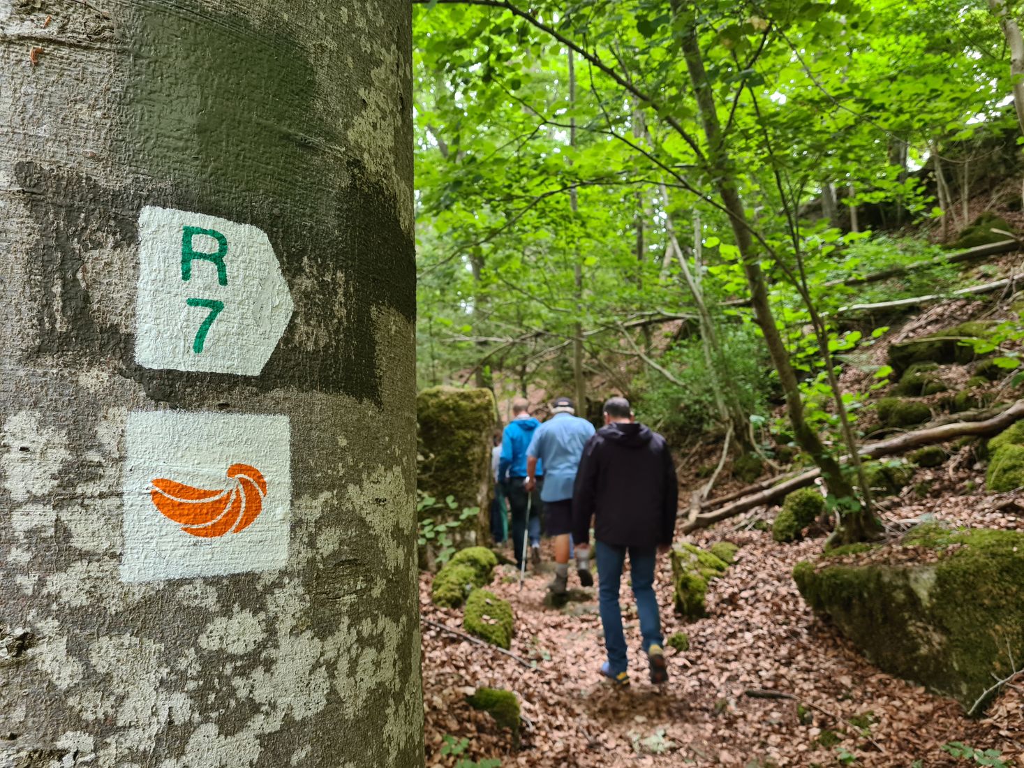 Wanderer auf dem Geo-Pad Hëlt