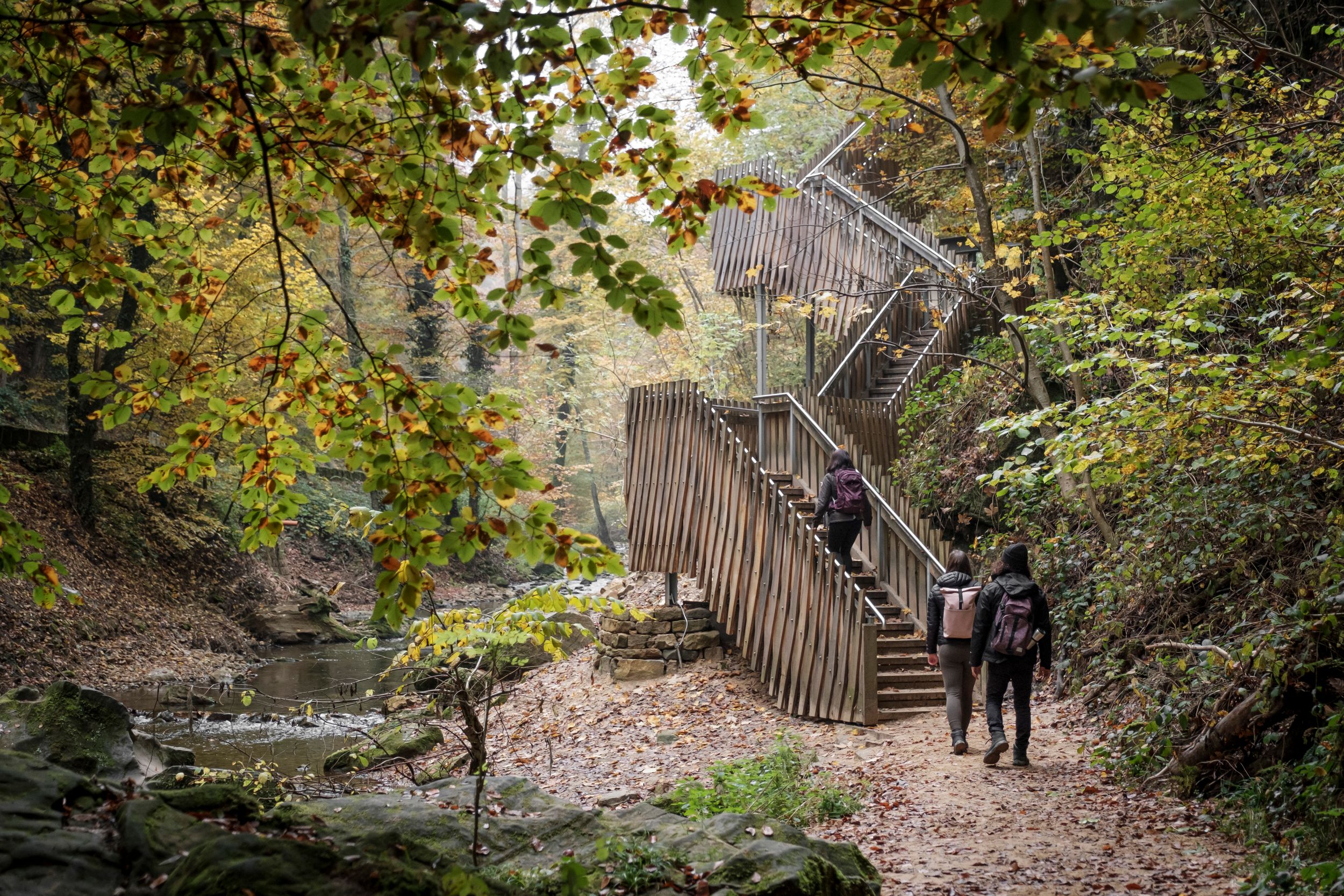 Hikers climbing the wooden staircase near Schiessentümpel