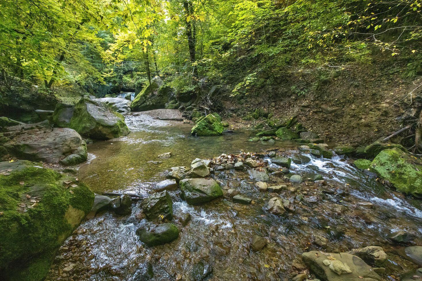 "Schwarze Ernz" river with the Schiessentümpel in the background