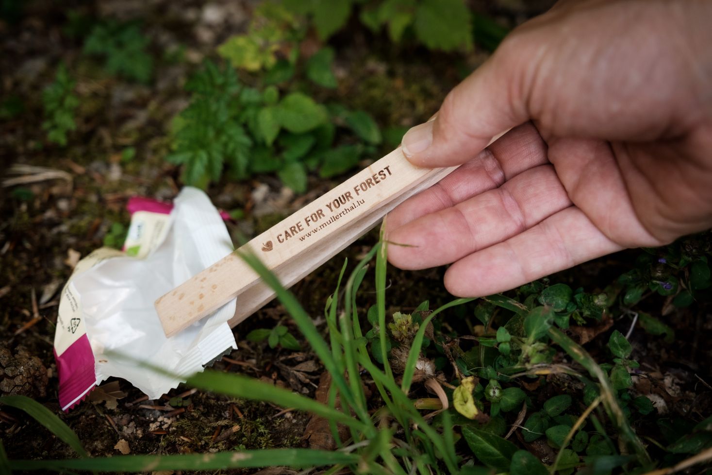 Quelqu'un ramasse des déchets dans la Région Mullerthal