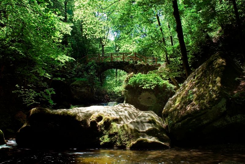 Der ikonische Schiessentümpel-Wasserfall in der Region Müllerthal.