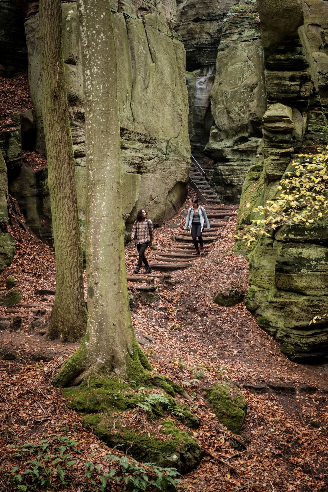 Zwei Wanderer unterwegs auf einem Wanderweg in Berdorf