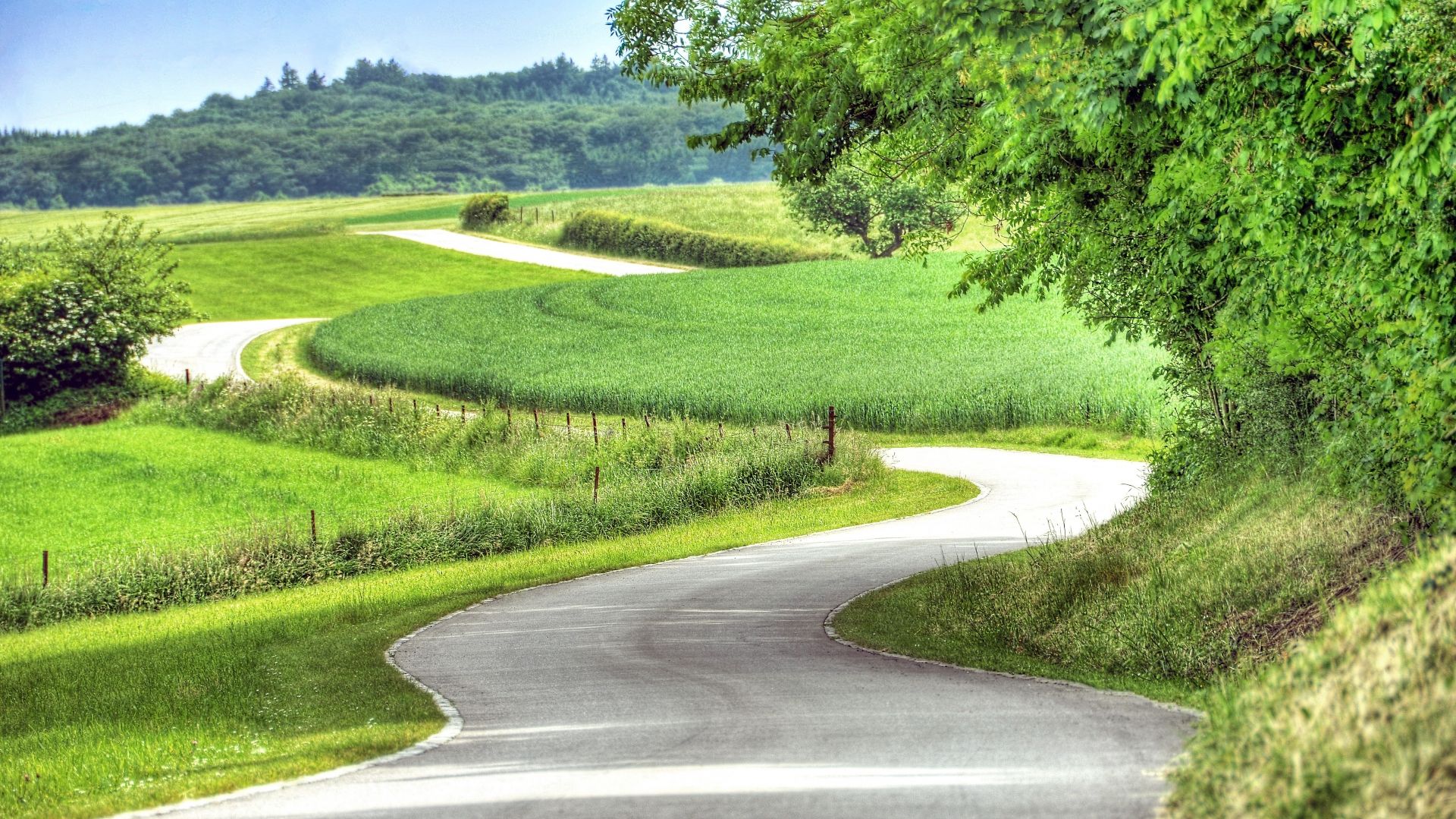 Landschaftlich reizvolle, ruhige Straße in der Region Müllerthal